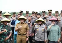 Pemkab Cirebon Dukung Swasembada dengan Penanaman Jagung 1 Juta Hektare