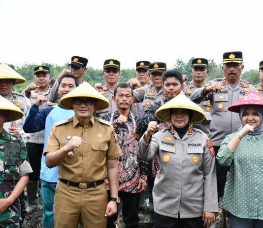 Pemkab Cirebon Dukung Swasembada dengan Penanaman Jagung 1 Juta Hektare