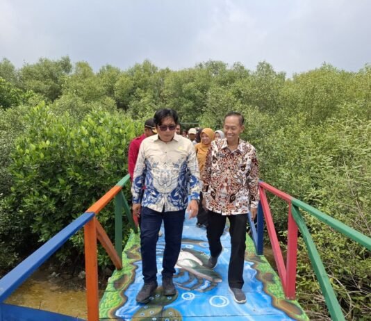 Wisata Dewi Bahari Resmi Dibuka, Masyarakat Siap Raup Cuan!