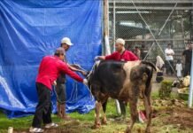 Khidmat dan Penuh Syukur, Lapas Karawang Sembelih Hewan Qurban untuk Warga Binaan