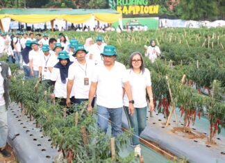 Petani Rasakan Manfaat Pupuk Baru Pupuk Kujang: Panen Meningkat, Tanaman Lebih Tahan Cuaca