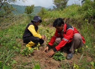50 Tahun Pupuk Kujang: Wujudkan Visi Hijau Lewat Penghijauan dan Energi Bersih