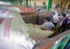 Stok Aman! Pupuk Kujang Siap Kawal Pertanian Karawang di Musim Kemarau
