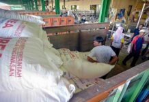 Stok Aman! Pupuk Kujang Siap Kawal Pertanian Karawang di Musim Kemarau