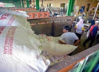 Stok Aman! Pupuk Kujang Siap Kawal Pertanian Karawang di Musim Kemarau