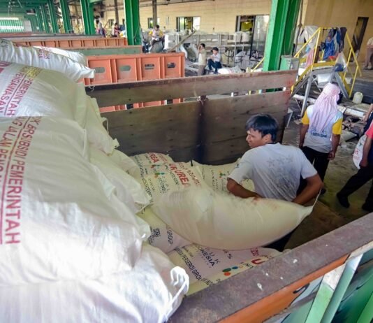 Stok Aman! Pupuk Kujang Siap Kawal Pertanian Karawang di Musim Kemarau