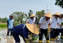 Tak Hanya Dibina, Warga Binaan Lapas Karawang Kini Jadi Petani Produktif
