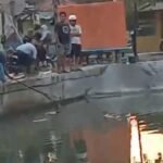 Diduga Tercemar Limbah, Puluhan Ikan Ditemukan Mati di Saluran Tarum Utara Karawang