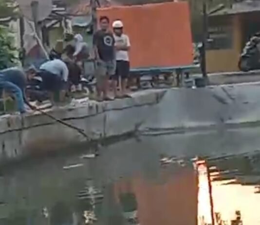 Diduga Tercemar Limbah, Puluhan Ikan Ditemukan Mati di Saluran Tarum Utara Karawang