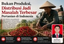Rantai Distribusi Terlalu Panjang, Petani Indonesia Terus Menjadi Korban
