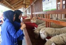 Laskar Farm Lapas Karawang Jadi Daya Tarik Kunjungan Mahasiswa Fakultas Hukum UBP