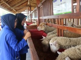 Laskar Farm Lapas Karawang Jadi Daya Tarik Kunjungan Mahasiswa Fakultas Hukum UBP