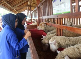 Laskar Farm Lapas Karawang Jadi Daya Tarik Kunjungan Mahasiswa Fakultas Hukum UBP