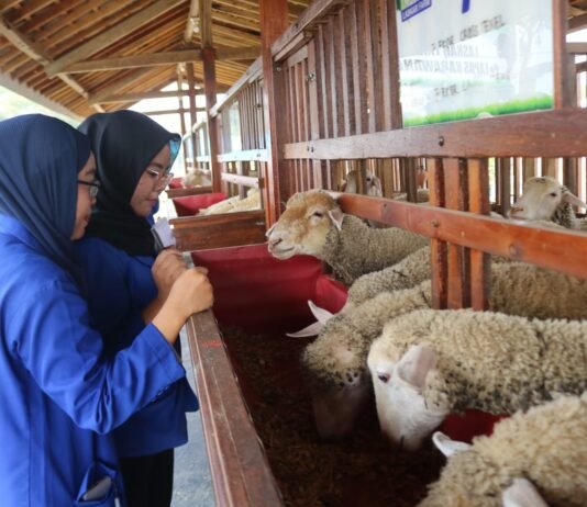 Laskar Farm Lapas Karawang Jadi Daya Tarik Kunjungan Mahasiswa Fakultas Hukum UBP