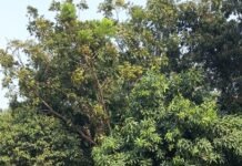 Program Jumat Berkah GOKAR Rutin Berbagi Demi Masyarakat Karawang Sejahtera