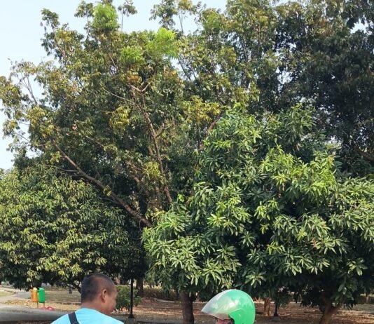 Program Jumat Berkah GOKAR Rutin Berbagi Demi Masyarakat Karawang Sejahtera