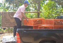 Dorong Kemandirian Peternak, Kelompok Ternak Sauyunan Bandung Barat Dapat Bantuan Sarpras