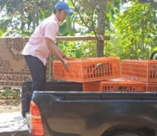 Dorong Kemandirian Peternak, Kelompok Ternak Sauyunan Bandung Barat Dapat Bantuan Sarpras