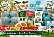 Lumira Telor Asin Naik Kelas Bersama GOKAR, Gunakan Kasir Gratis dan Perluas Pasar Digital